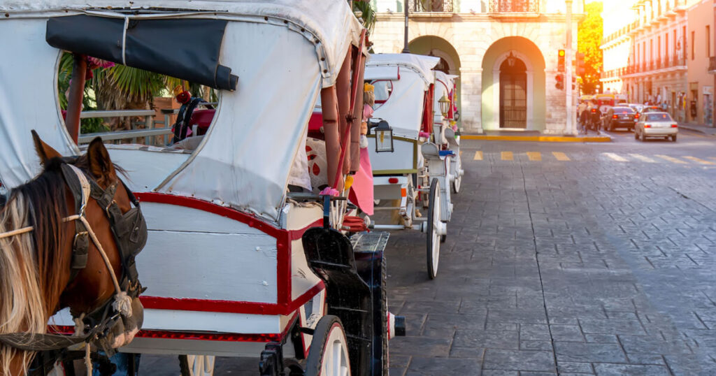 street in Merida city, morning in Mexico, horse carriage, safest places to visit in Mexico.