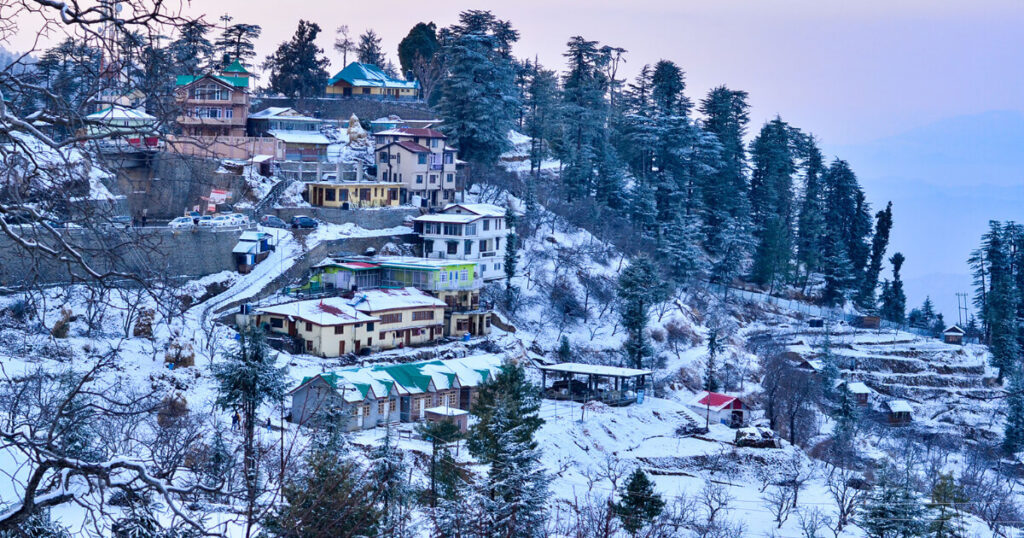 snowfalls, travel to Himachal Pradesh, houses covered with snow, hill town, houses on hills.