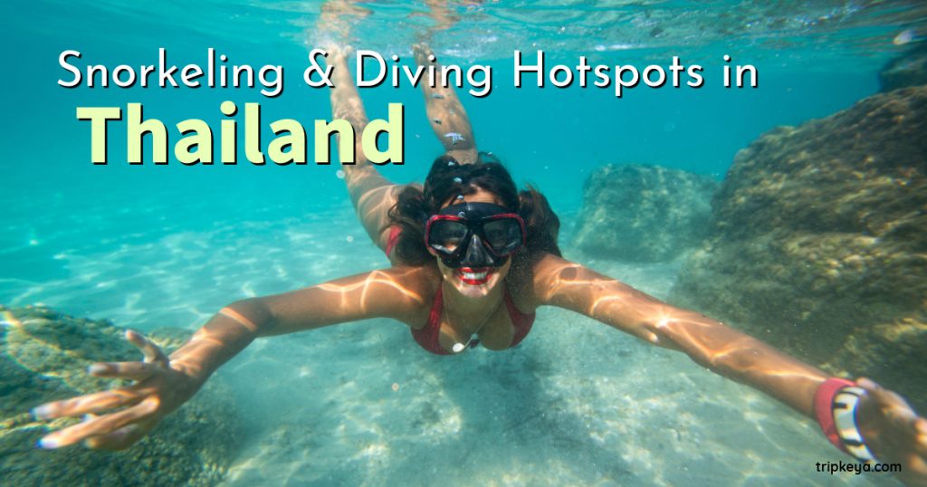 Snorkeling & Diving hotspots in Thailand